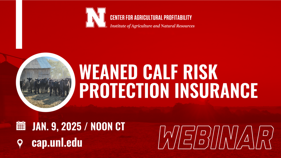Webinar graphic