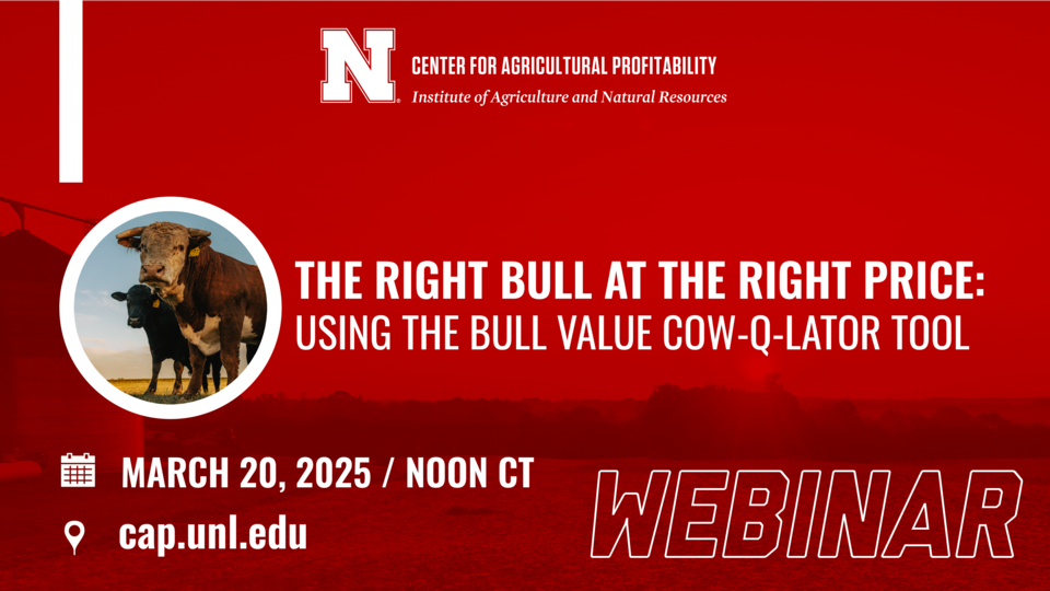 Webinar graphic