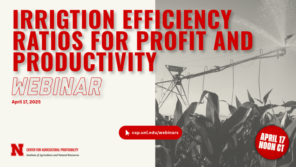 Webinar graphic