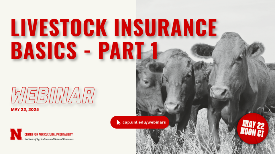 Webinar graphic