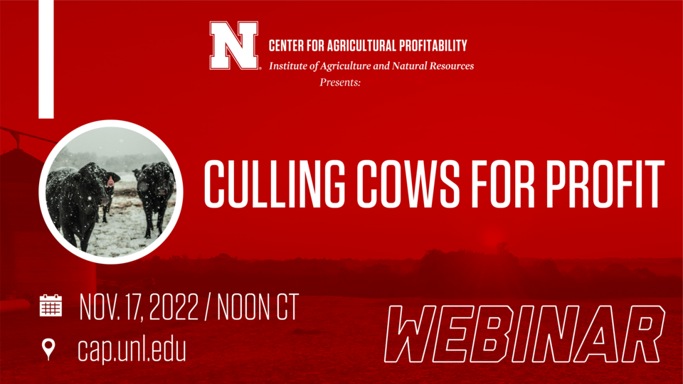webinar graphic