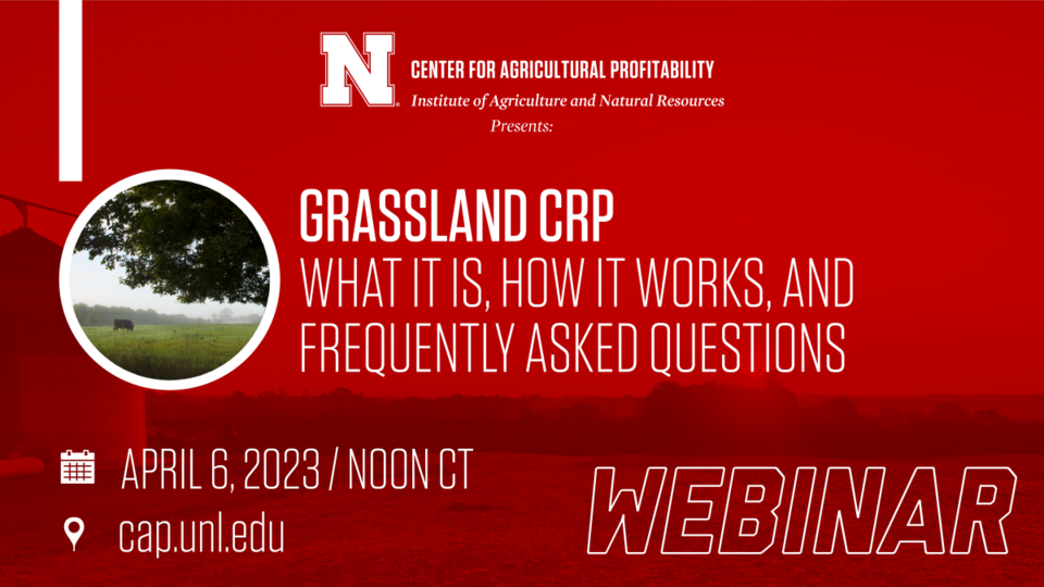 webinar graphic