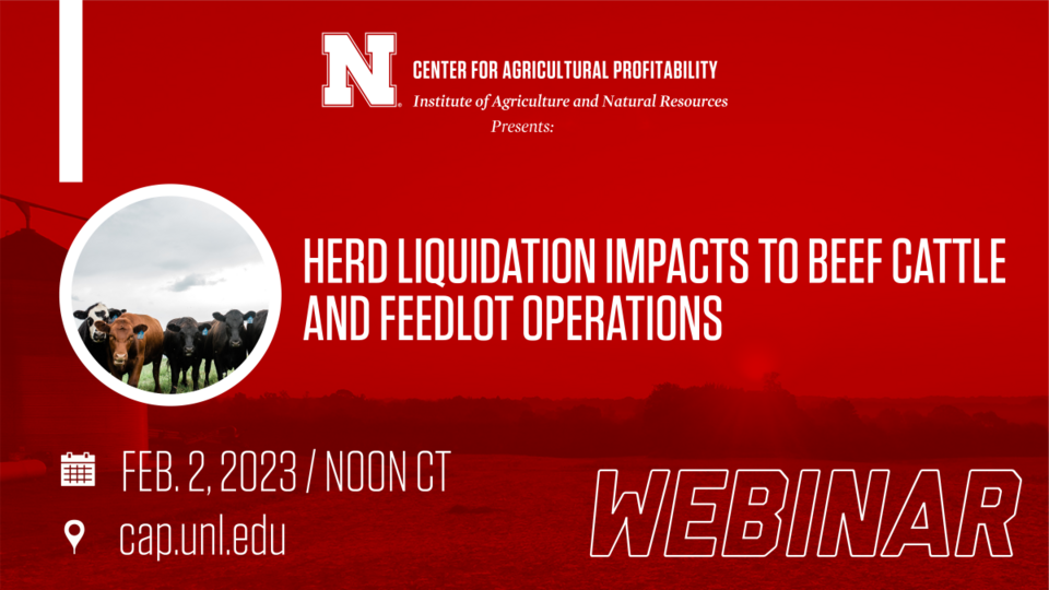 webinar graphic