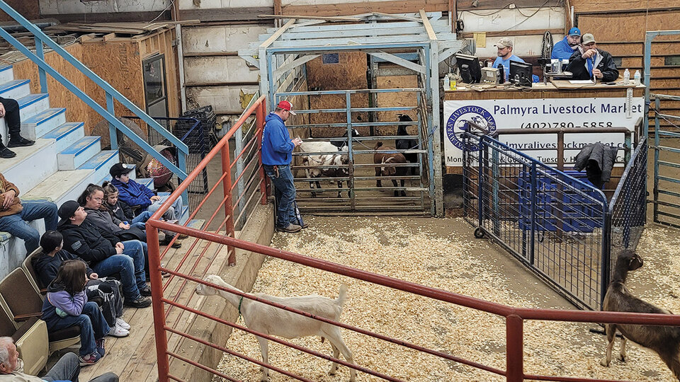 Photo of the inside of a sale barn.