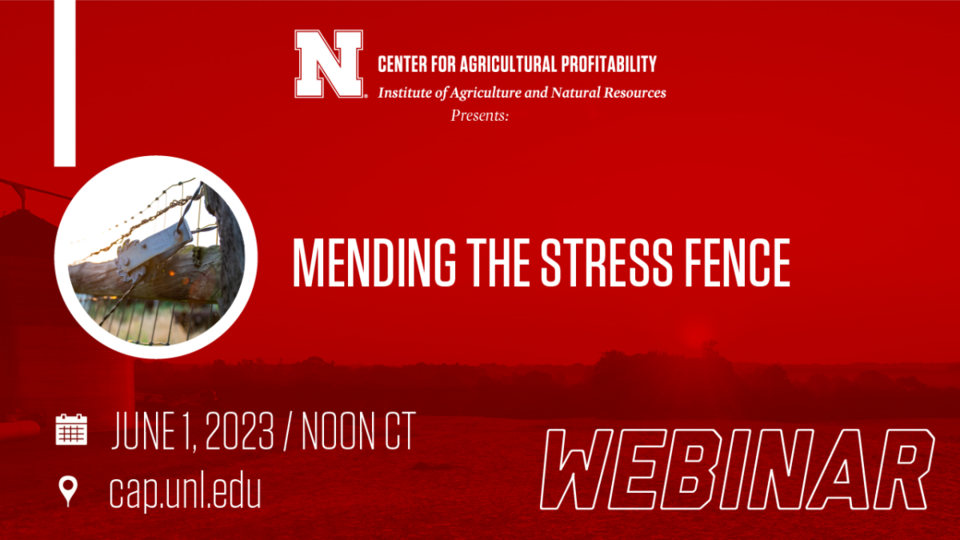 webinar graphic