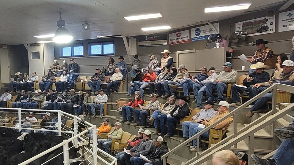 Photo inside a sale barn.