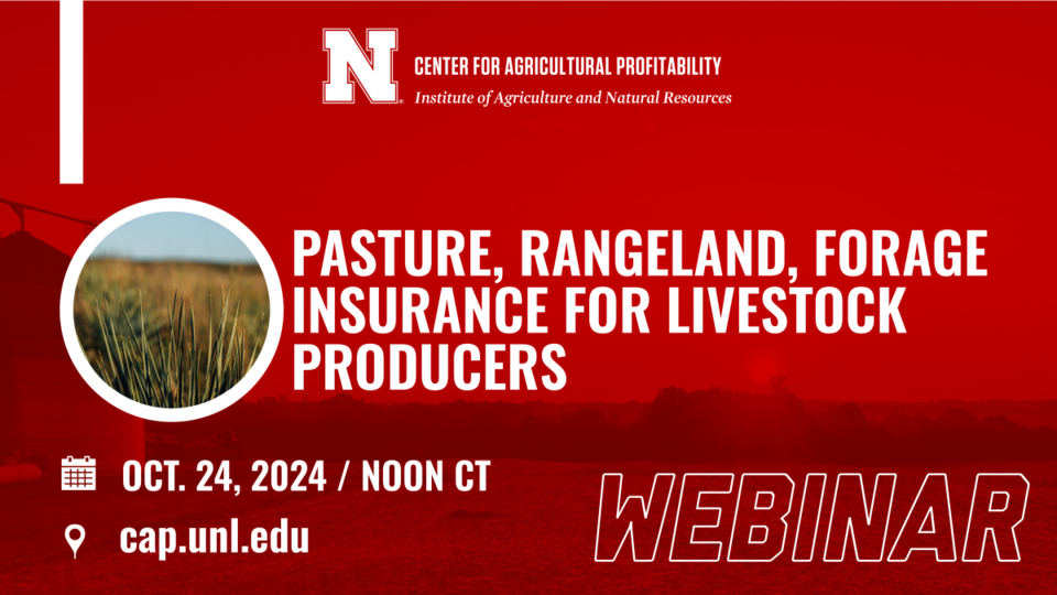 Webinar graphic