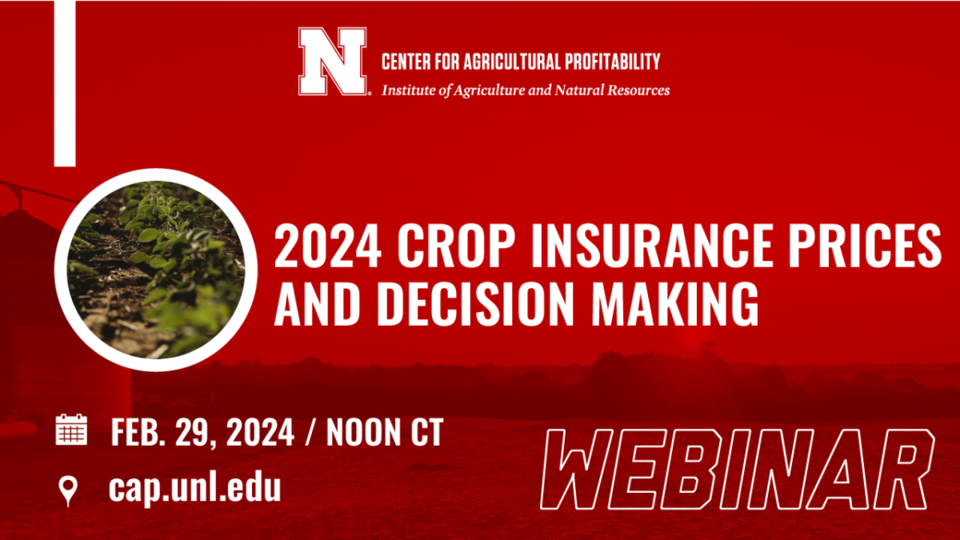 Webinar graphic