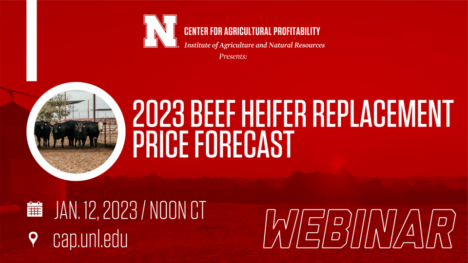 webinar graphic
