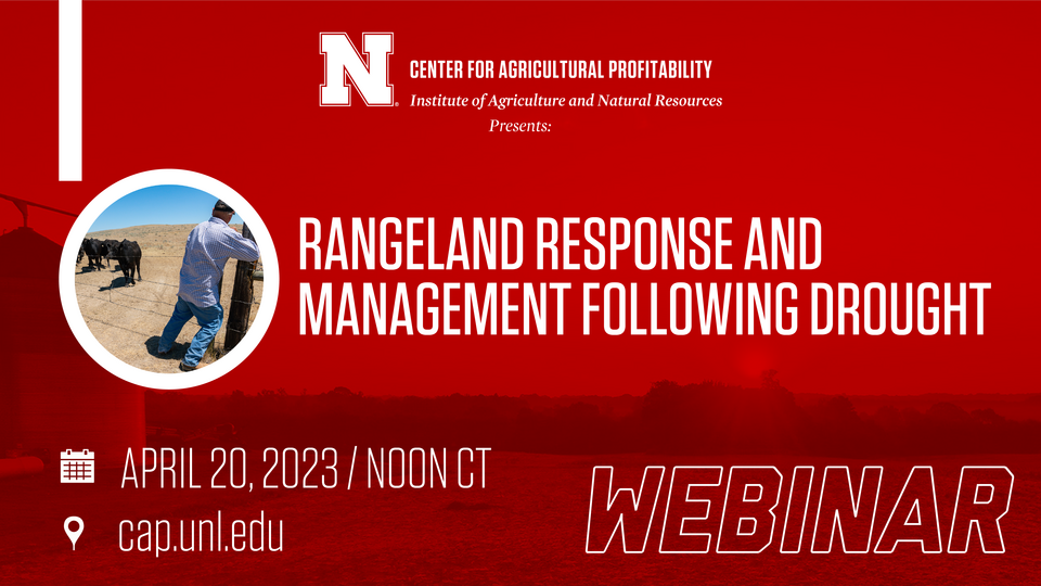 webinar graphic