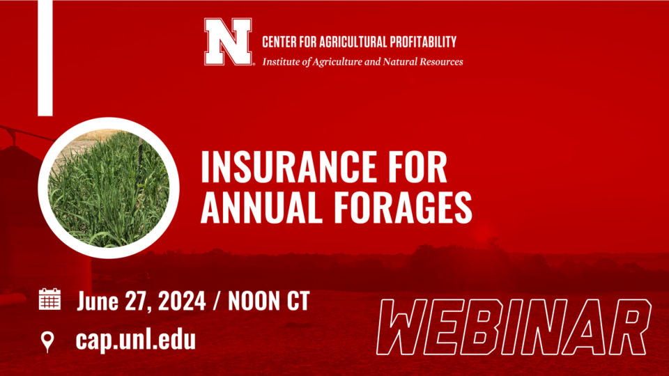 Webinar graphic