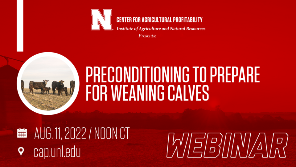 webinar graphic