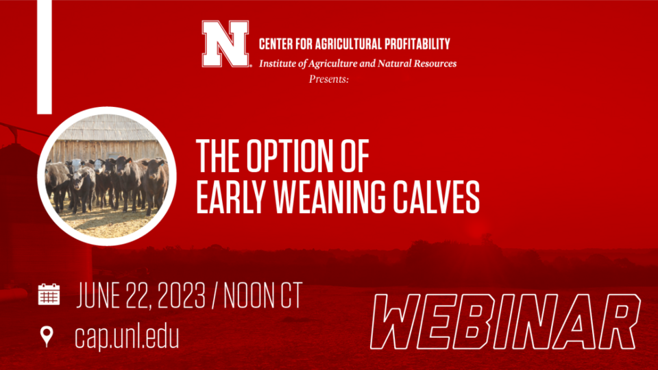 webinar graphic