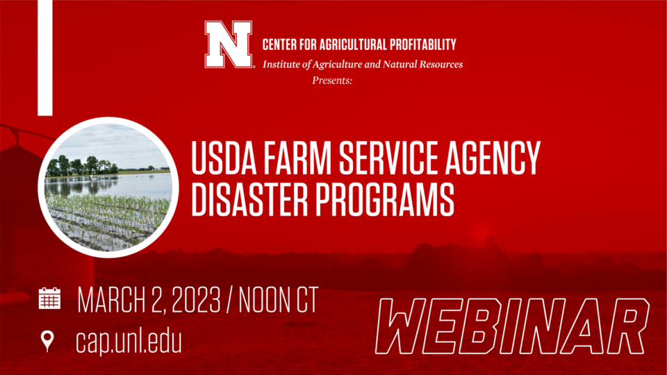 webinar graphic