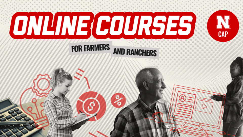 Online courses graphic.