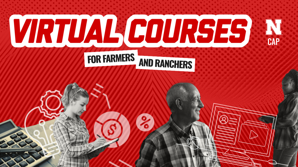 Virtual courses graphic