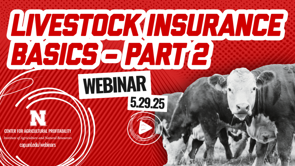 Webinar graphic