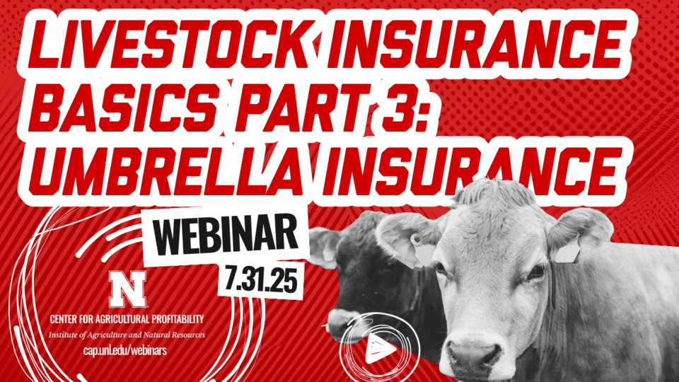 Webinar graphic