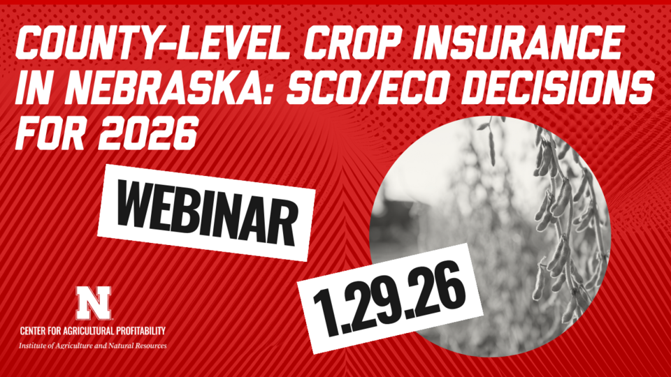 Photo of a soybean field with text: "County-level crop insurance in Nebraska: SCO/ECO Decisions for 2026" "Webinar 1.29.26" with block N logo for Nebraska Center for Agricultural Profitability. 