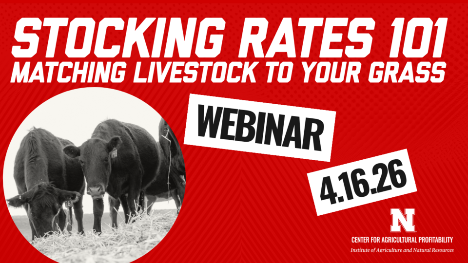 Black cattle grazing with red text and webinar details on a red background. Text: "Stocking Rates 101: Matching Livestock to Your Grass"