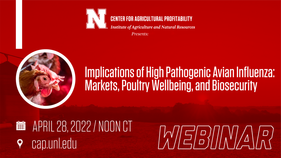webinar graphic