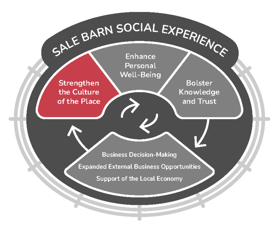 Social experience graphic with culture of place highlighted