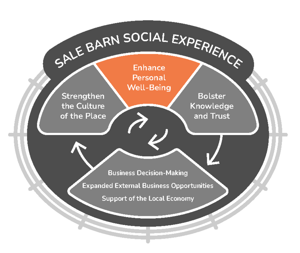 Social experience graphic with well-being highlighted