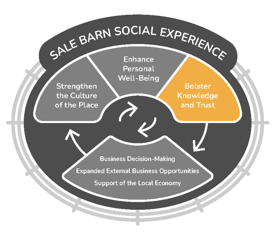 Social experience graphic with bolstering trust highlighted