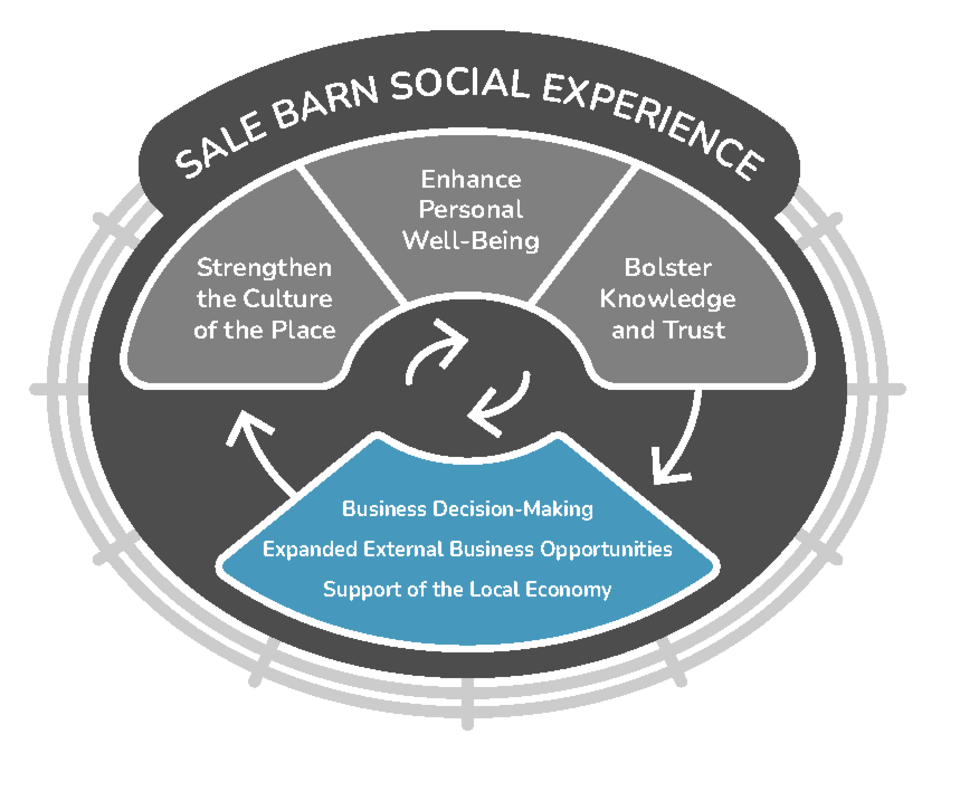 Social experience graphic with bolstering extending beyond highlighted
