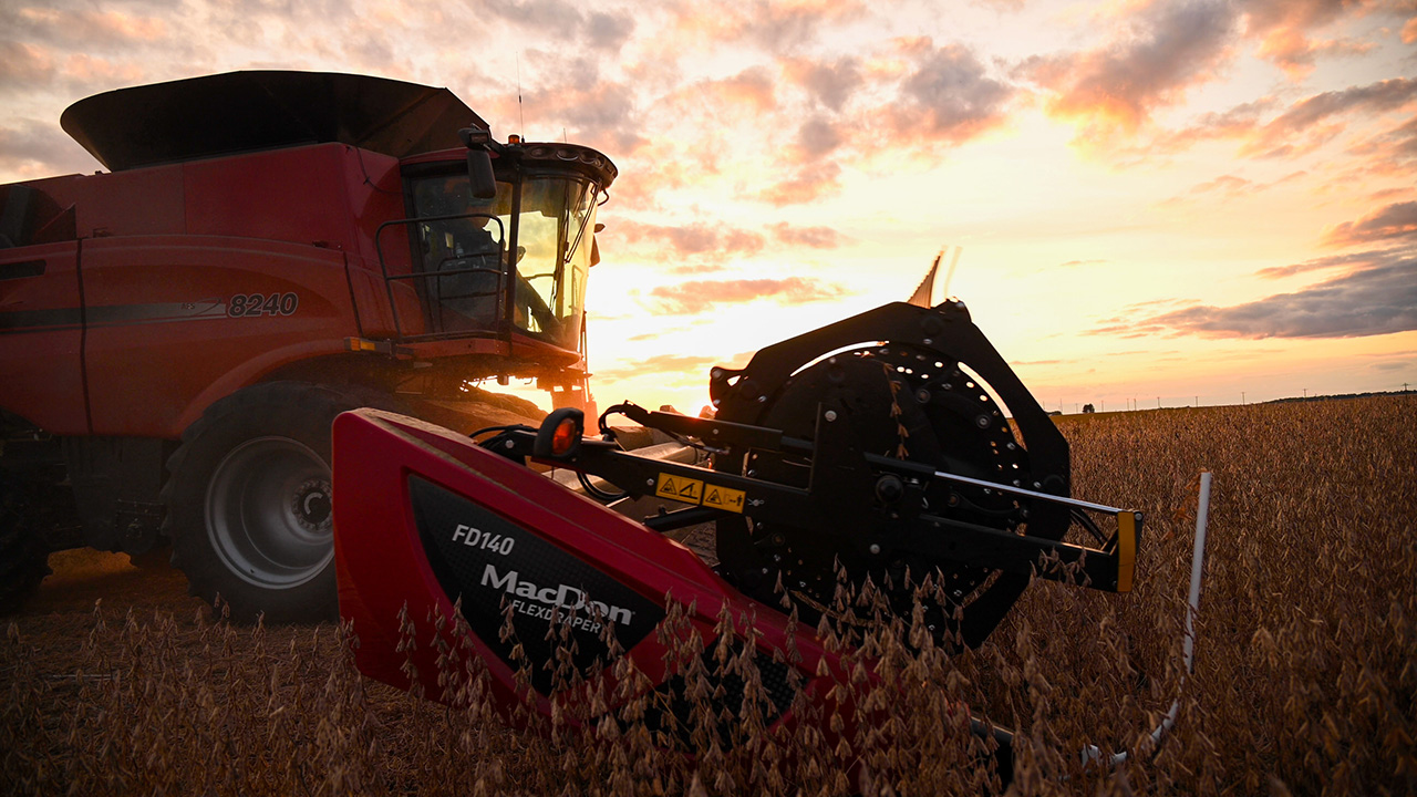 Combine harvesting soybeans.