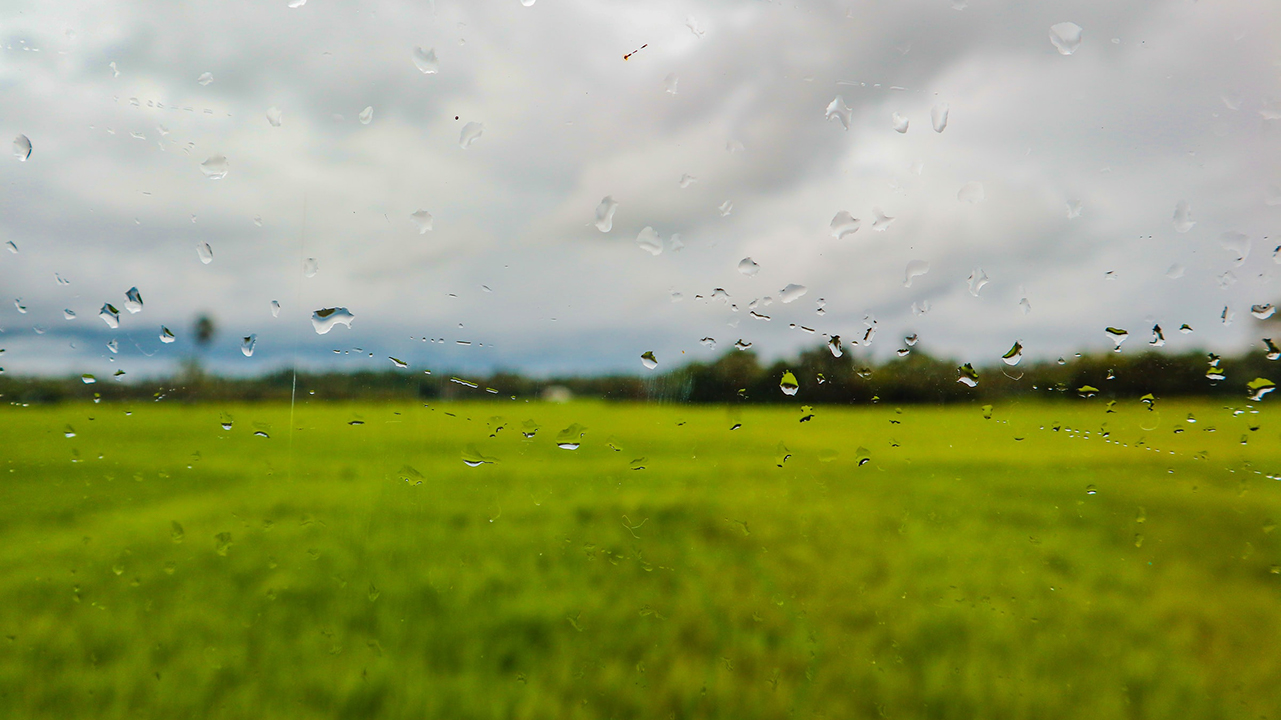 Rain drops on camera lens looking onto field.