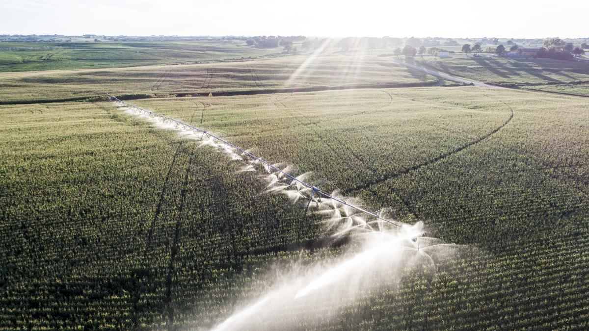 Aerial view of pivots running sprayers in field.