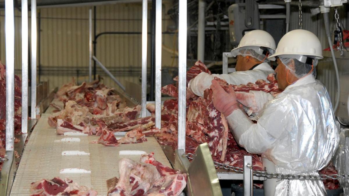 Workers separate beef parts in packing facility.