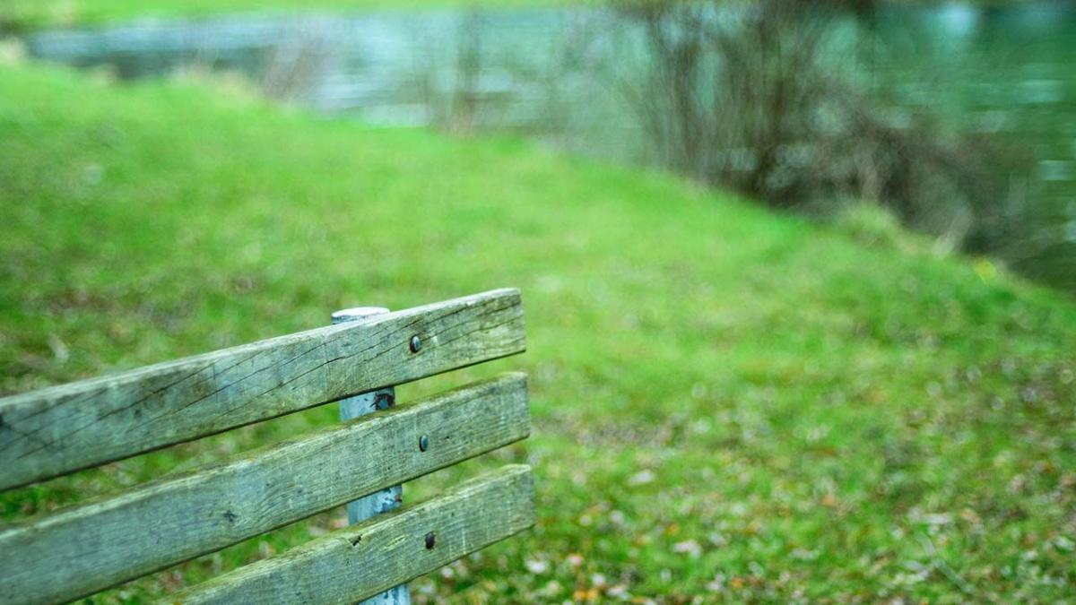 Closeup of bench in a park.