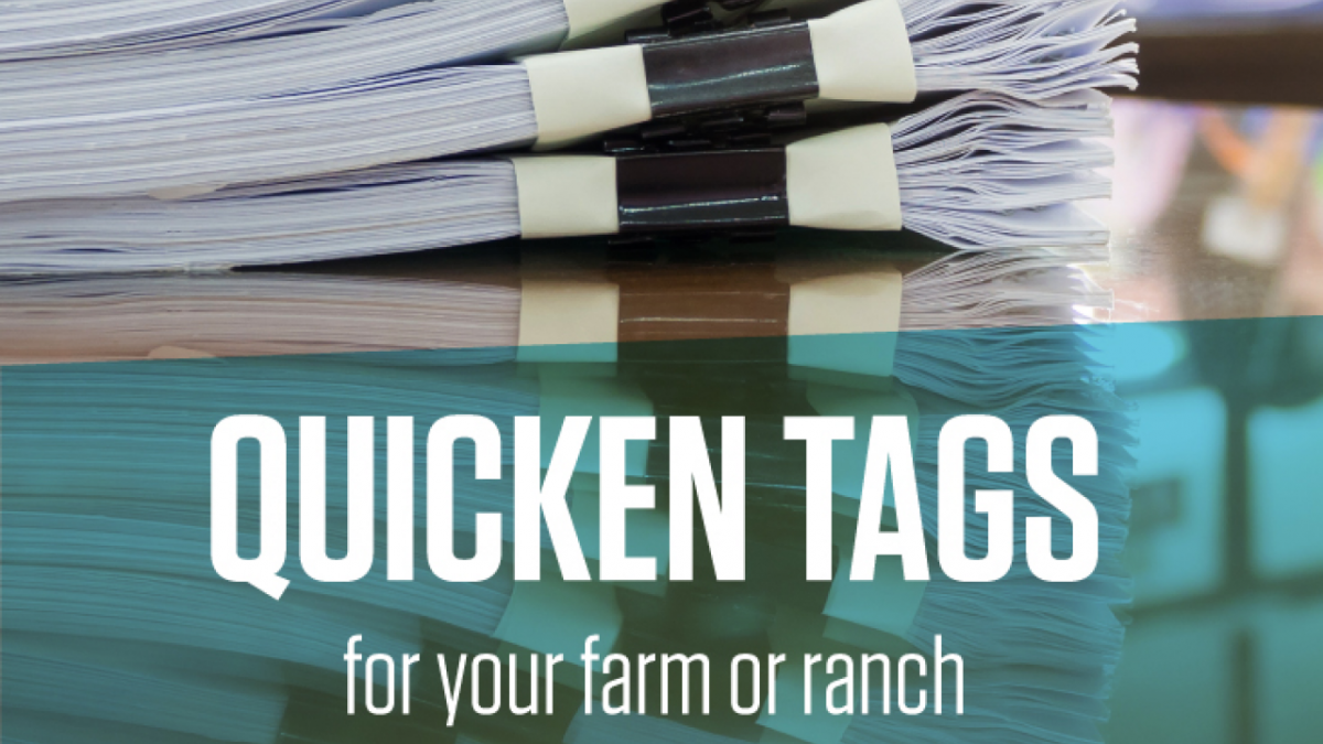 Quicken tags graphic.