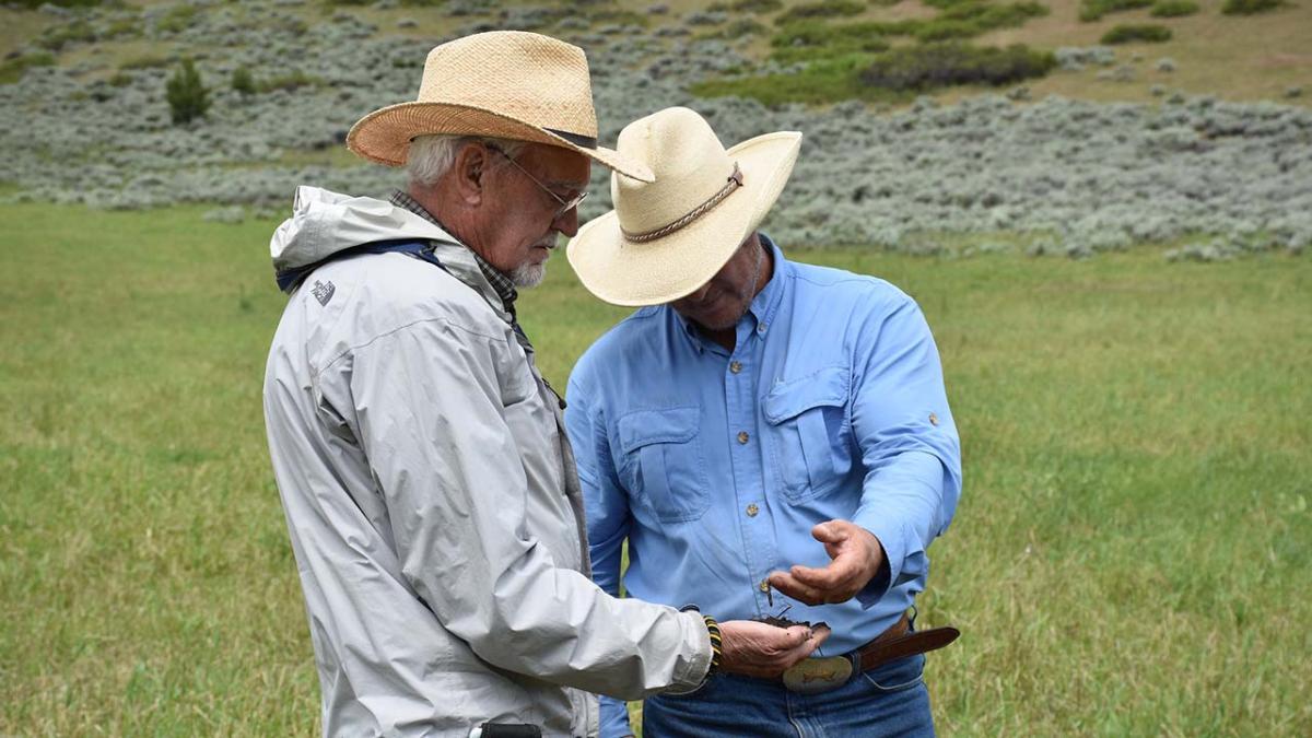 Two ranchers in field talking.