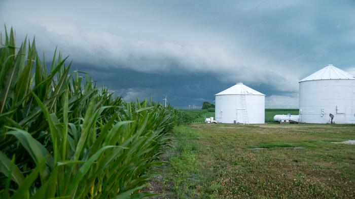 Storm clouds gather over corn field next to grain bins.