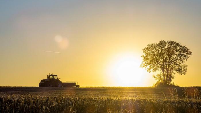 Harvesting field at dusk. 