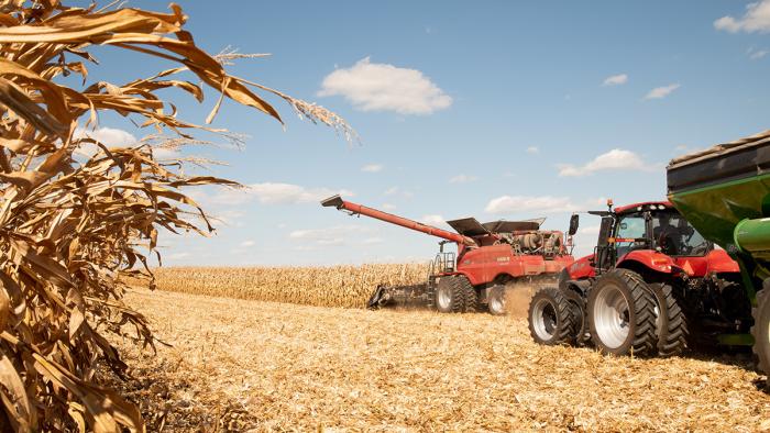 Machinery harvesting corn in field.