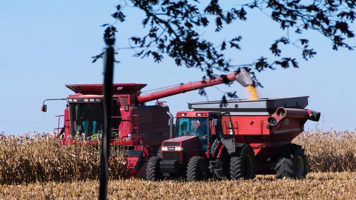 Harvester loading grain cart. 