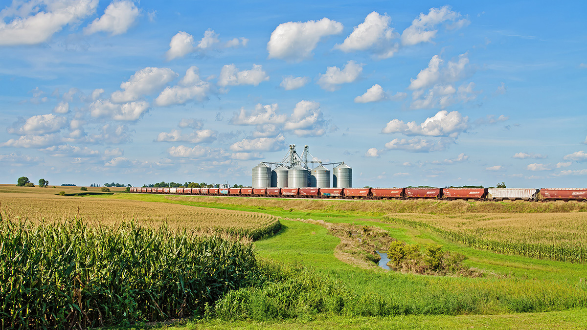 Corn field with train and grain bins.